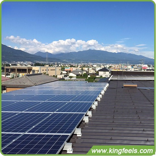 Community-Solarprojekte wachsen in den Niederlanden
