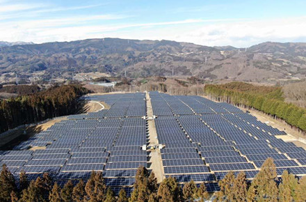 Als Reaktion auf Energieknappheit startet German Solar eine 1,5-GW-„Krisenausschreibung“
